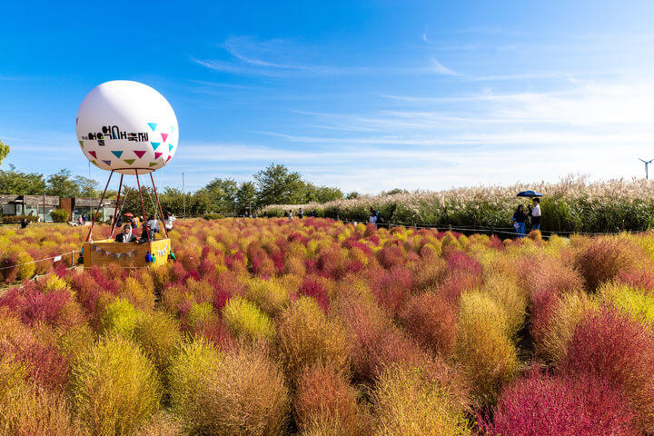 서울&middot;수도권 가을 피크닉 명소 총정리 : 단풍 아래에서 즐기는 힐링 한 끼