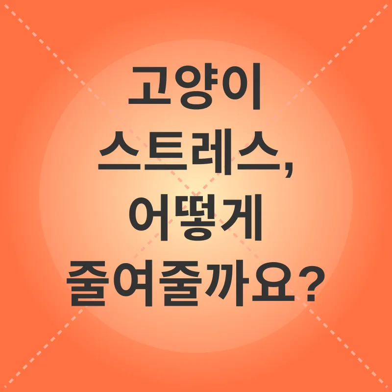 고양이 스트레스 관리_2