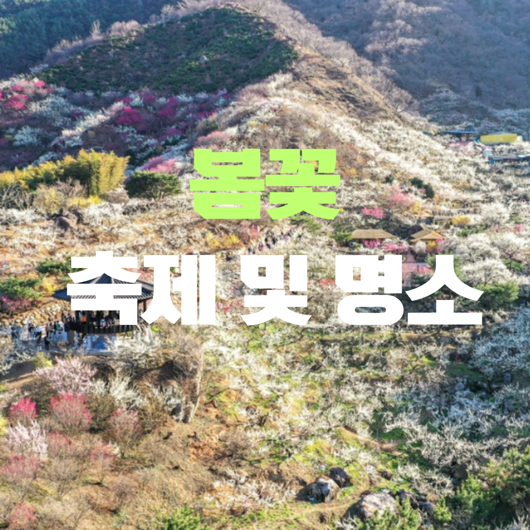 2025년 충주호 벚꽃축제 행사, 일정 등 3분 총정리