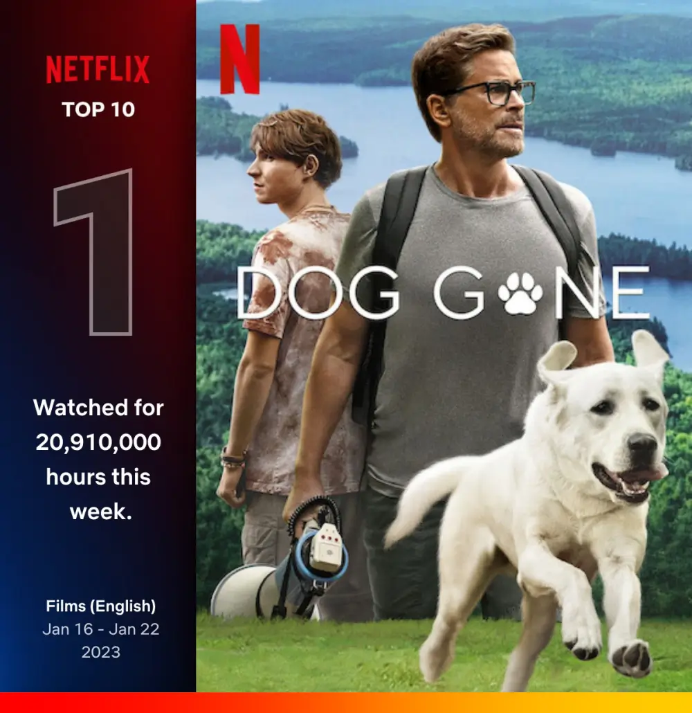 우리집 개를 찾습니다 포스터