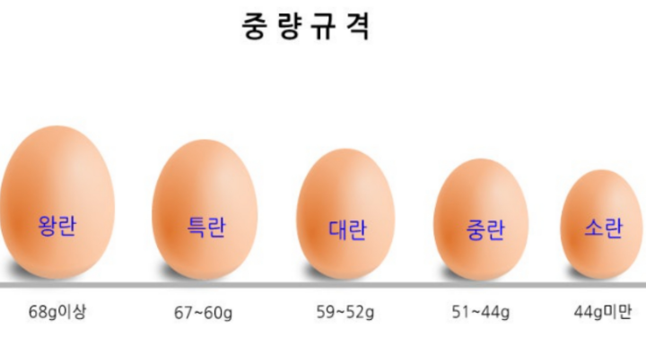 계란-크기-순서
