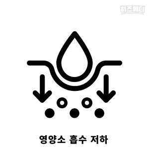 노인 빈혈 원인 관리