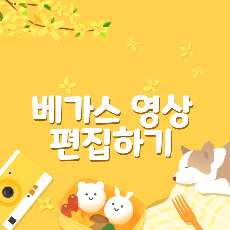 베가스 영상 편집하기(1)