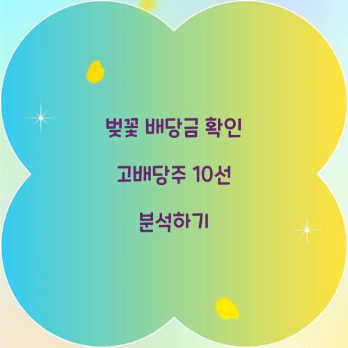 벚꽃 배당금