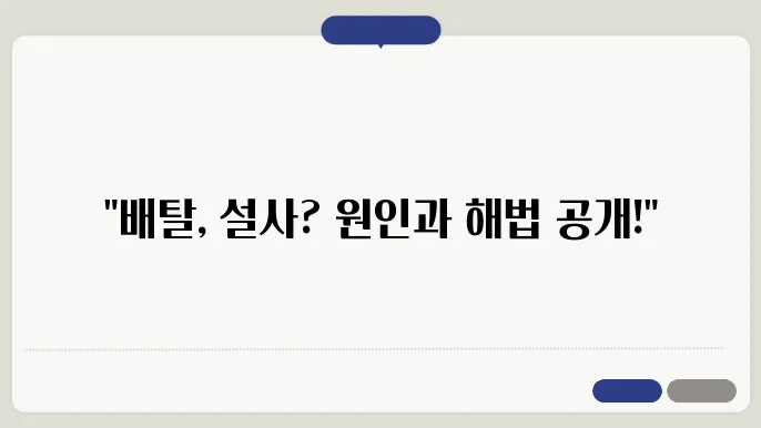 배탈과 설사의 5가지 주요 원인과 대처법