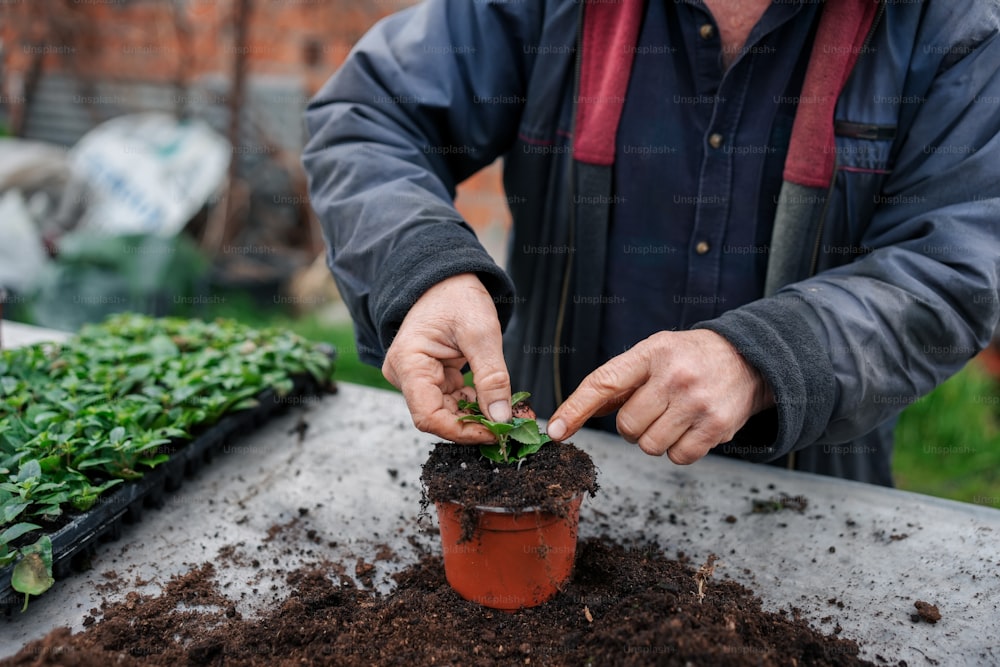 삶 관련 이미지