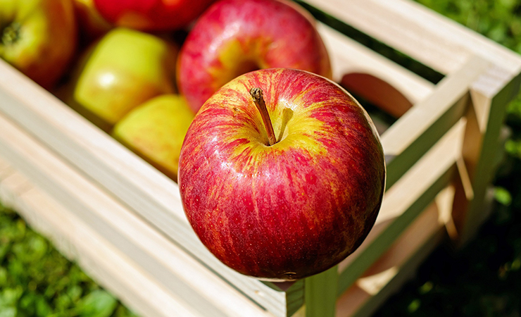 변비에 좋은 과일 사과