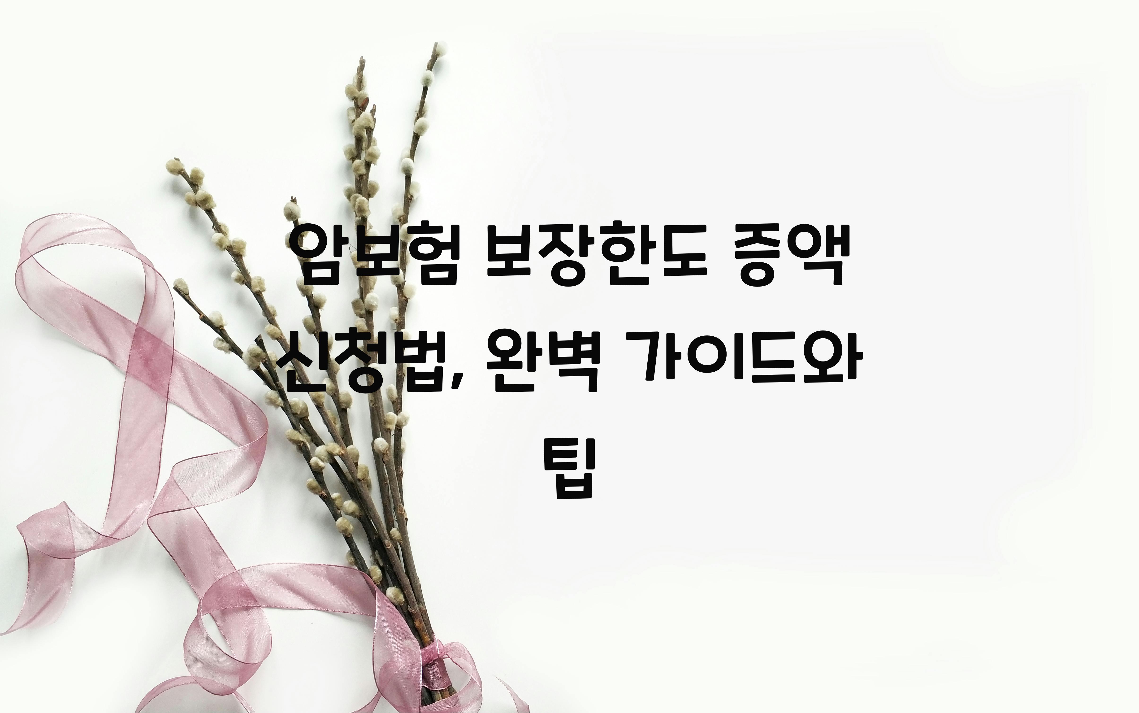 암보험 보장한도 증액 신청법