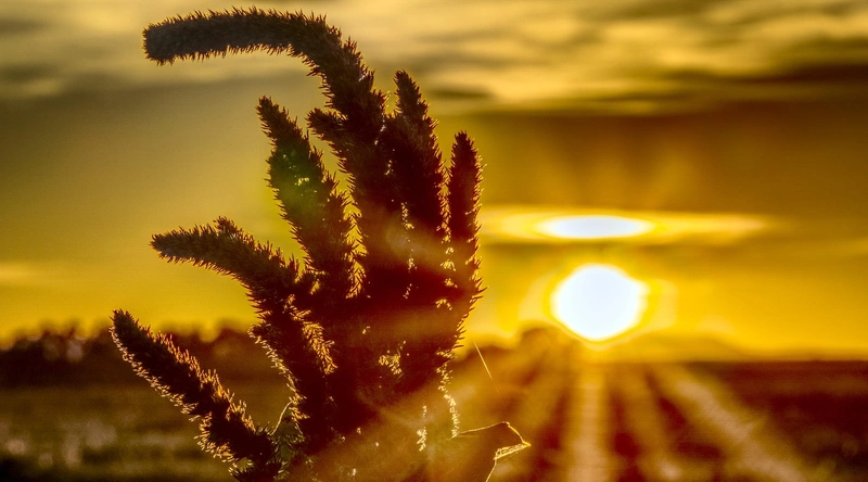 동적 하중 대응 전선 구조와 피복 설계 차이