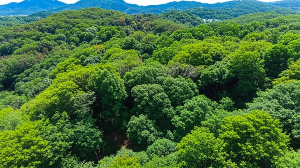 서귀포시 임업인을 위한 2025 임산..