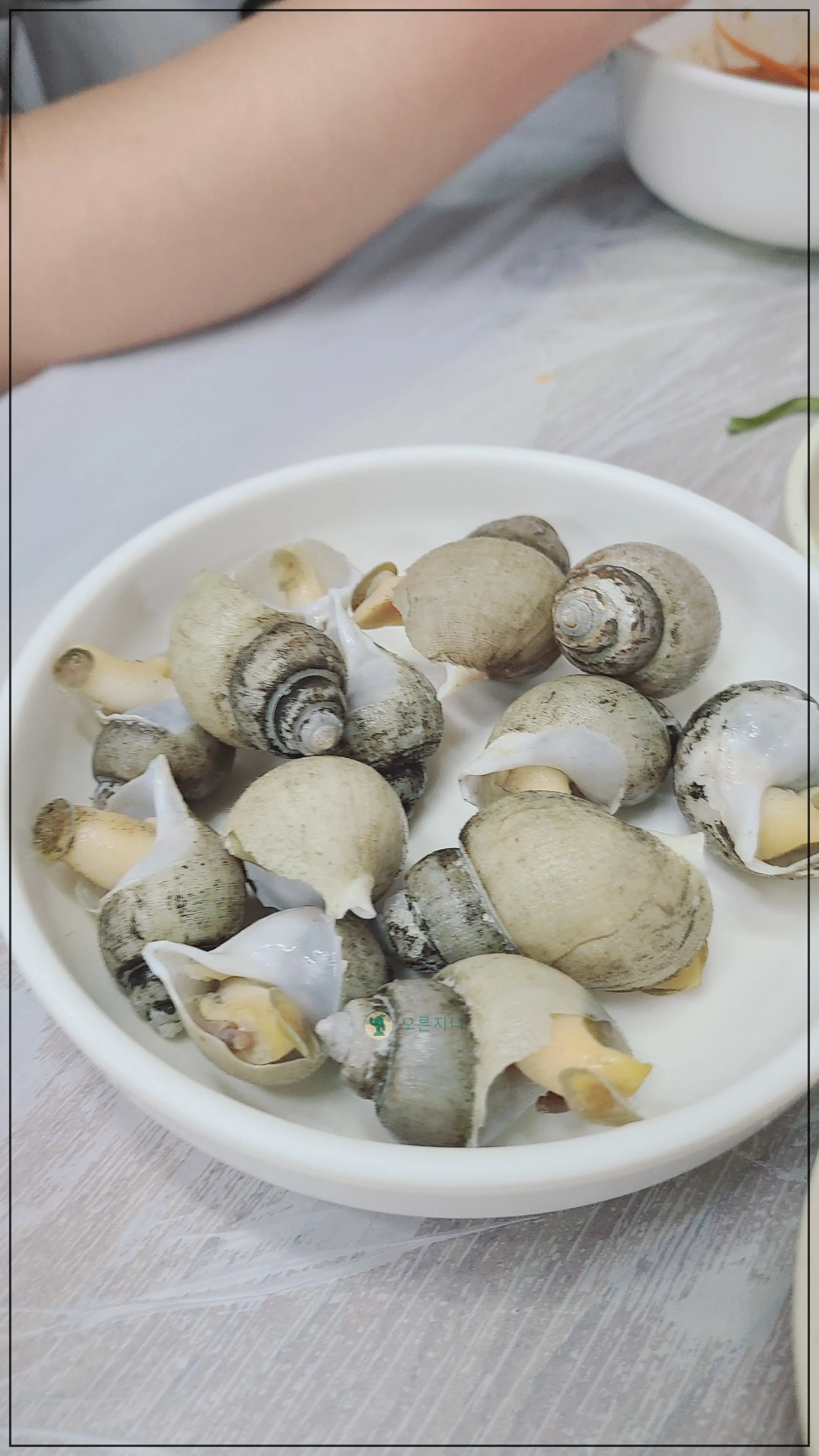 묵호항-풍어회도매센터-상차림-소바서비스2