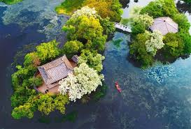 밀양 가볼만한곳 - 위양지