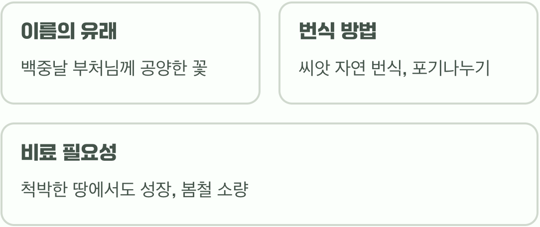 습지 식물의 여왕, 부처꽃 키우기 A to Z