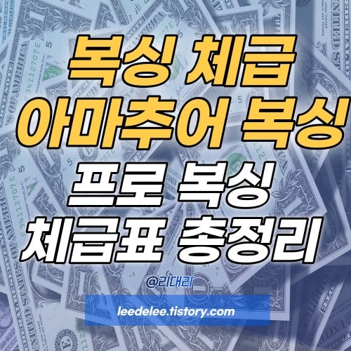 복싱 체급표