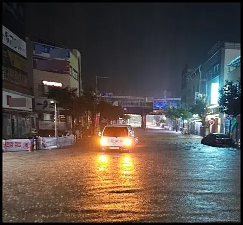 침수차 구별법