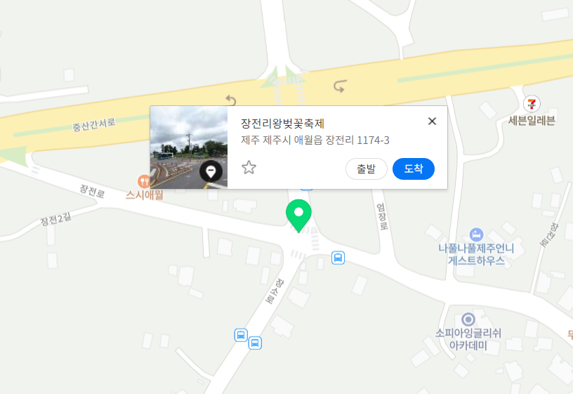 제주벚꽃축제