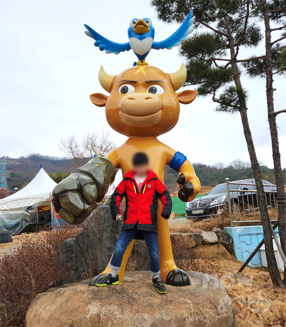 청도-소싸움경기장