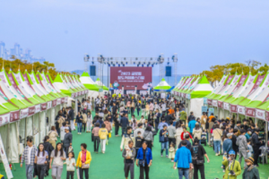 부산 축제 5월 6월 일정