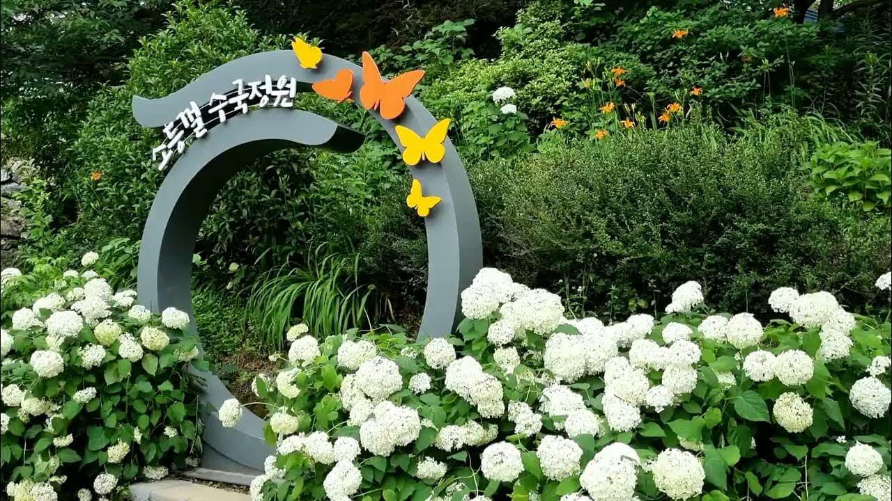 김해수안마을 수국정원 전경