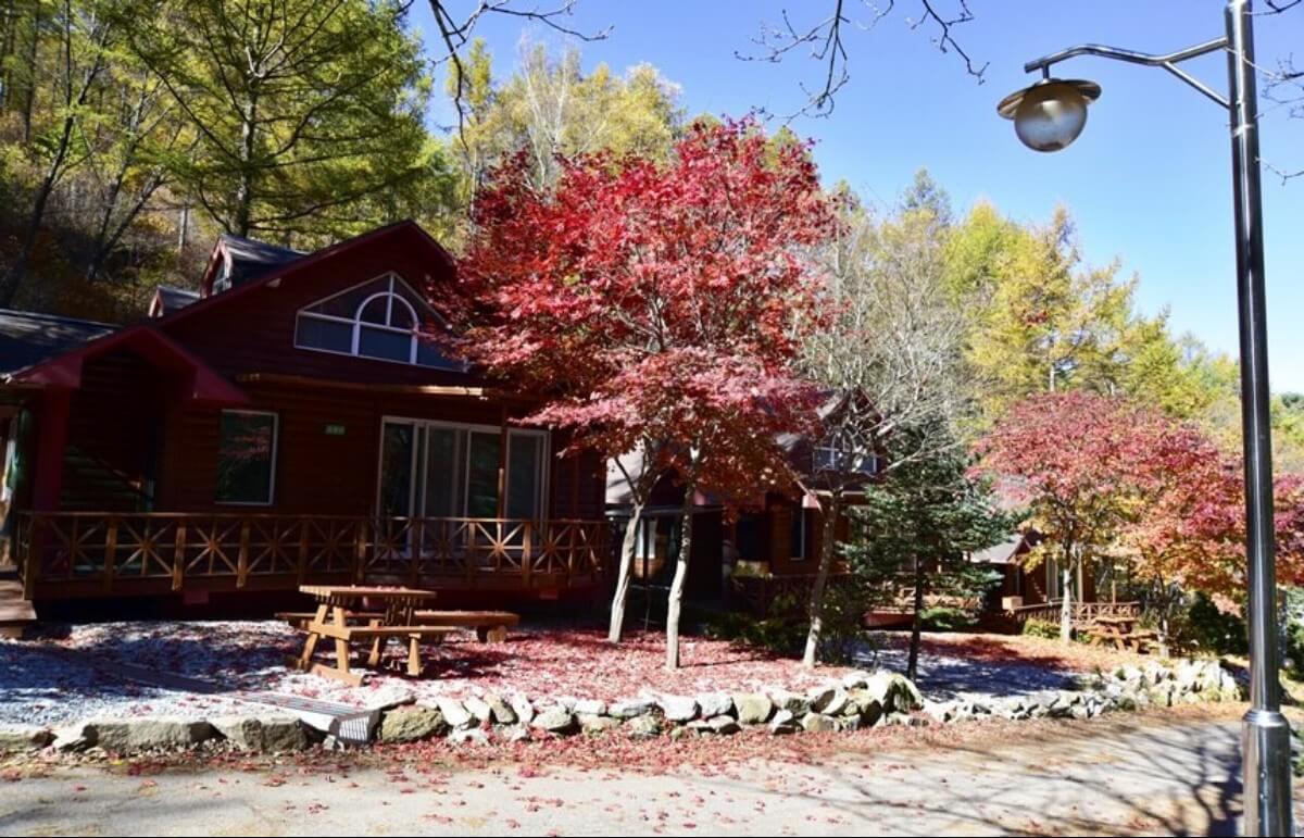 치악산자연휴양림 20인실