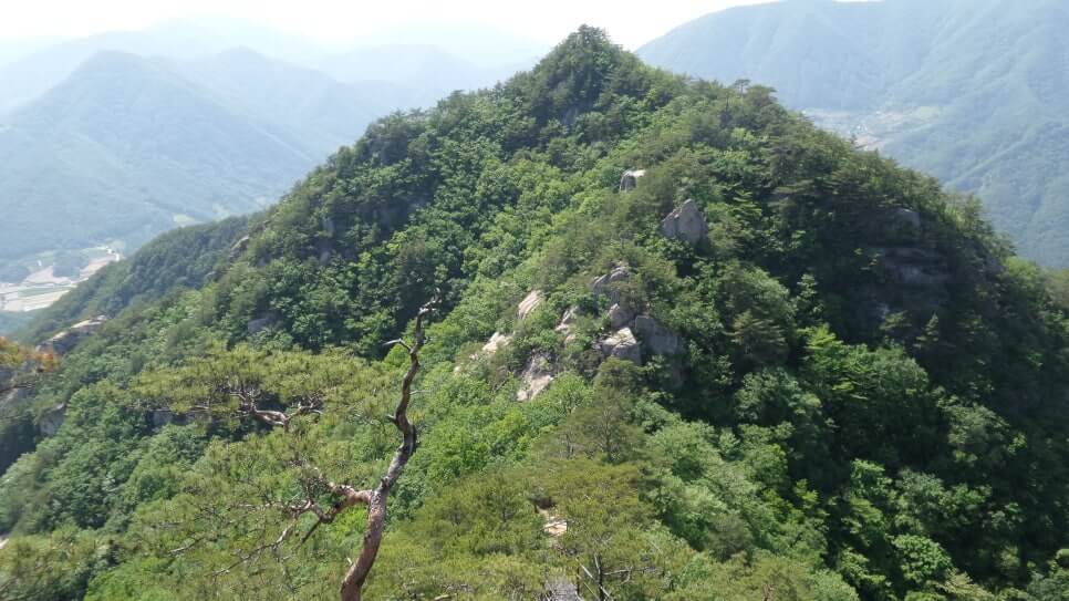 100대 명산 등산하기 마흔여섯번째 단양 도락산 암릉 구간과 기암괴석&amp;#44; 소나무 조망이 우수하며&amp;#44; 도락산 정상에서의 탁 트인 경관이 매력적