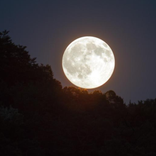 정월대보름 날짜 2