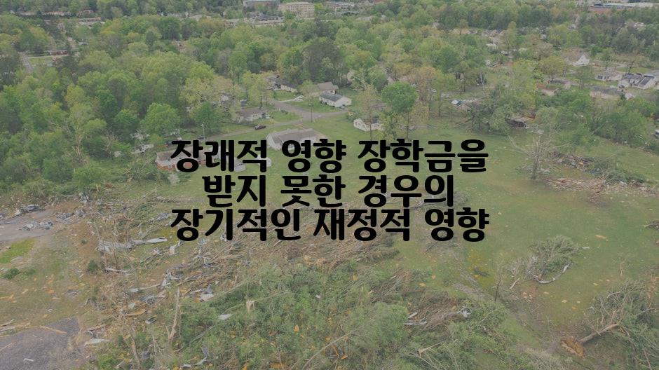 장래적 영향 장학금을 받지 못한 경우의 장기적인 재정적 영향