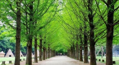 춘천가볼만한곳이미지