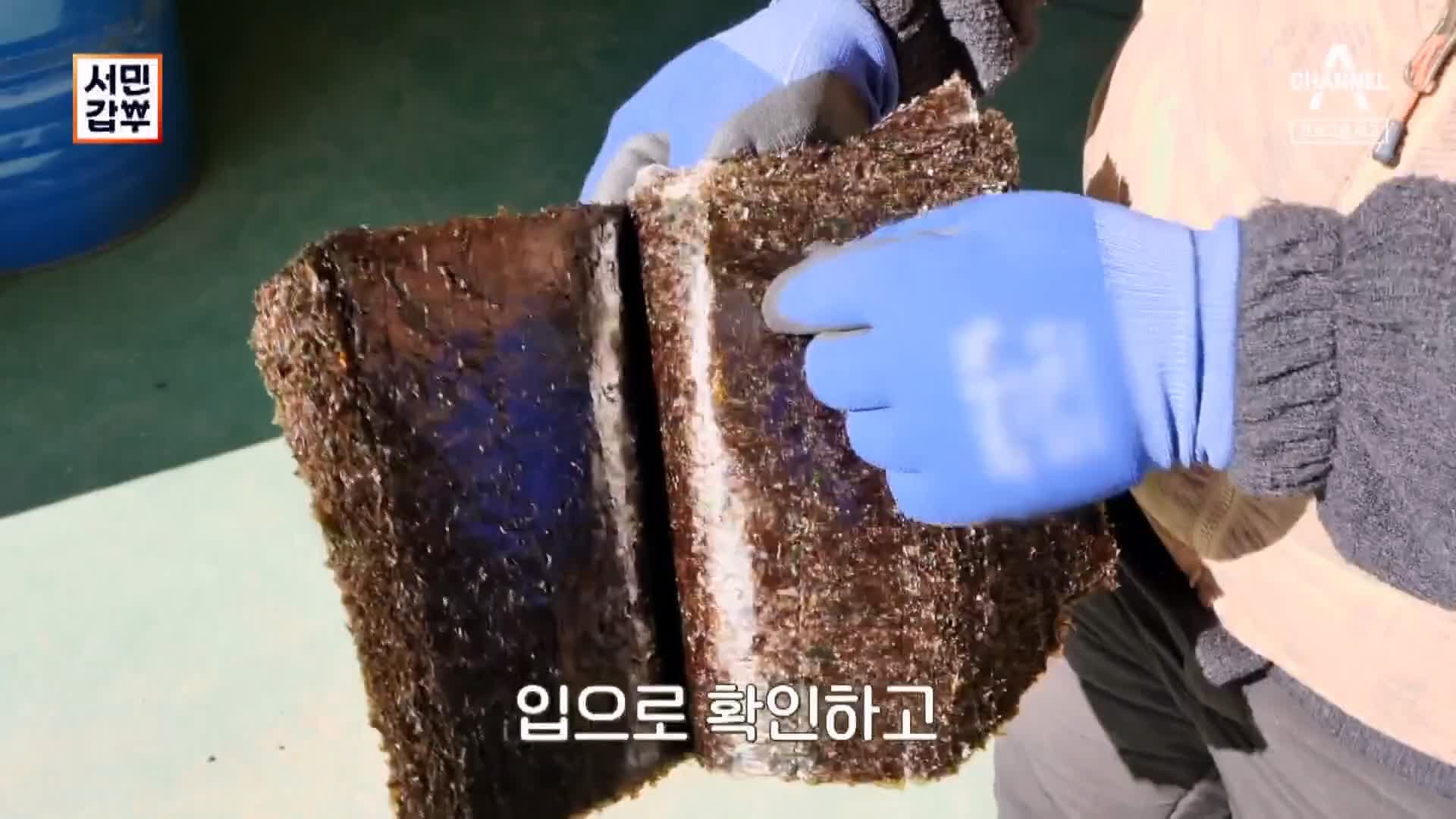 서민갑부 재래 전통 시장 국민 밥반찬 바다의 약초 김 감태 파는 연 매출 26억 원 청년 장사꾼 차현석 방송 정보