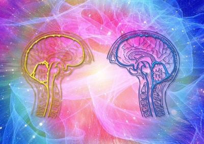 메타인지란 무엇일까? 중요성과 학습 전략