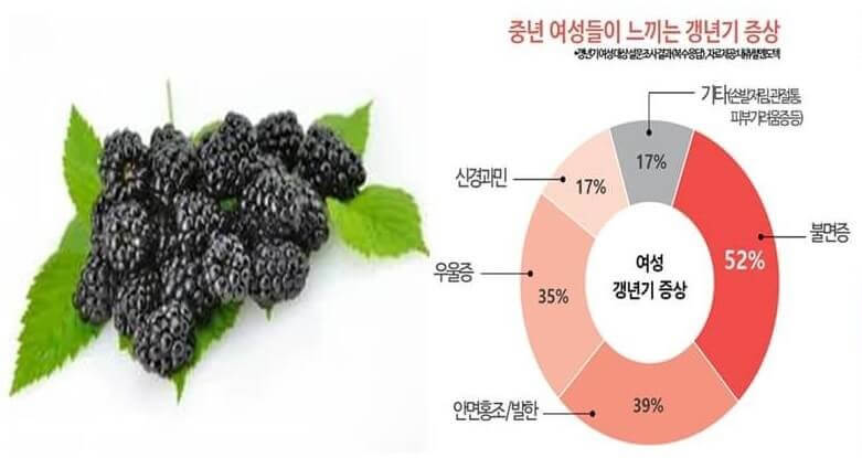 복분자 효능-갱년기 증상 완화