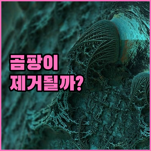 곰팡이 제거 공기청정기 효과와 실제 ..