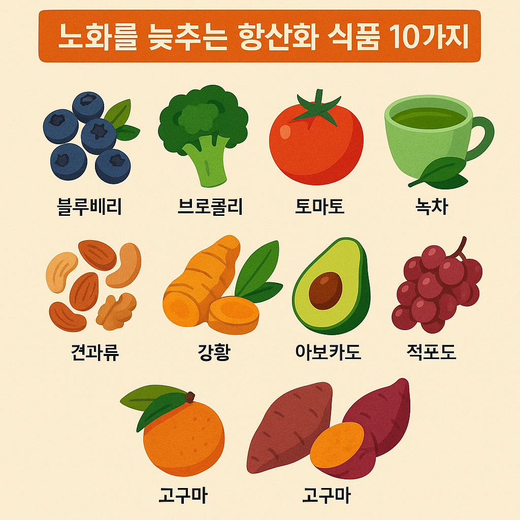노화를 늦추는 항산화 식품 10가지 추천