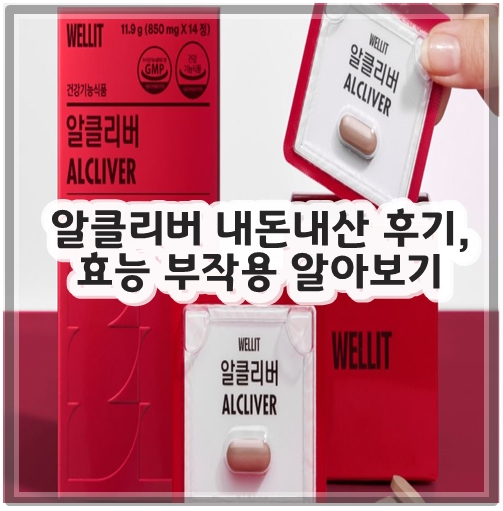 알클리버 내돈내산 후기, 효능 부작용 알아보기