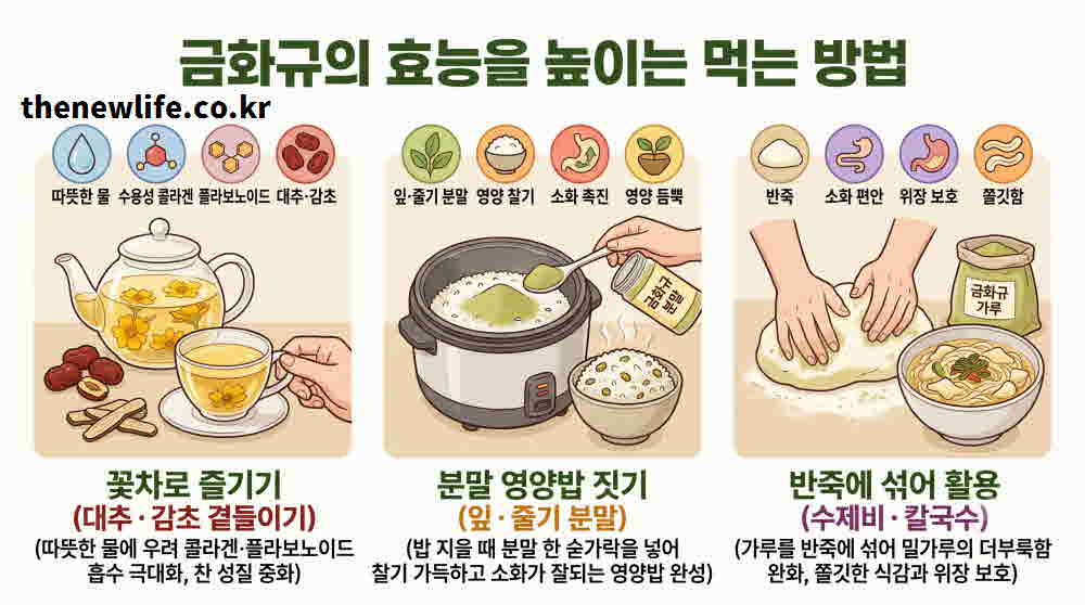 금화규 효능 높이는 먹는 방법