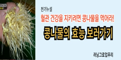 https://tv.kakao.com/channel/2934571/cliplink/378155991