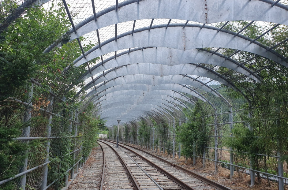 문경철로자전거