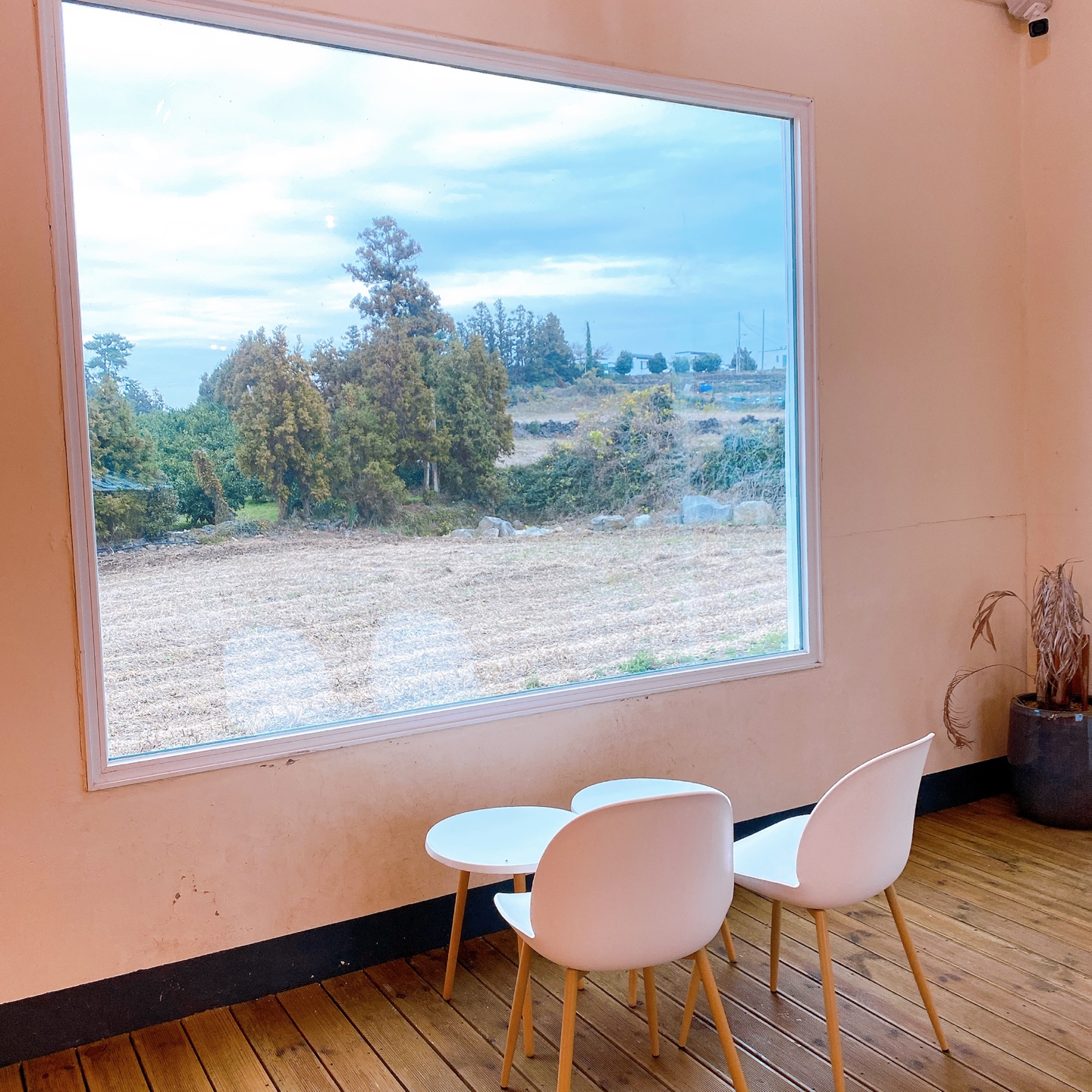 제주 애월 하트시그널3 빨간지붕 이너프 카페