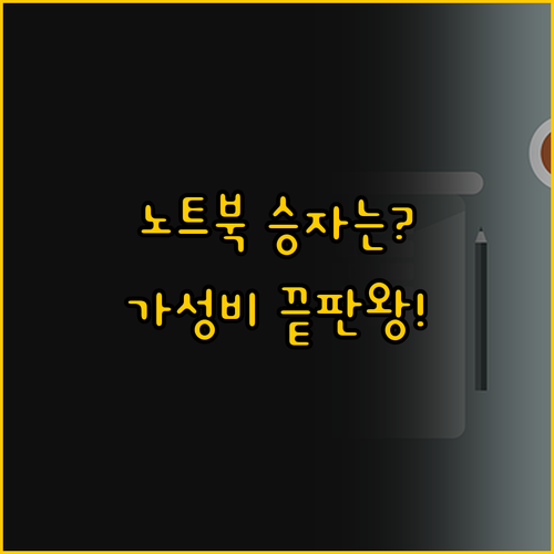 가성비 노트북 승자는 누구 LG 그램..