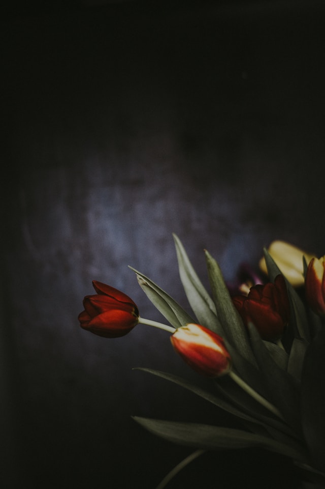 꽃 꿈 해몽
