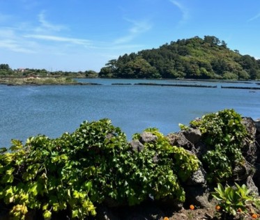 제주도 11월 가볼만한곳