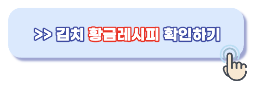 김치 황금레시피