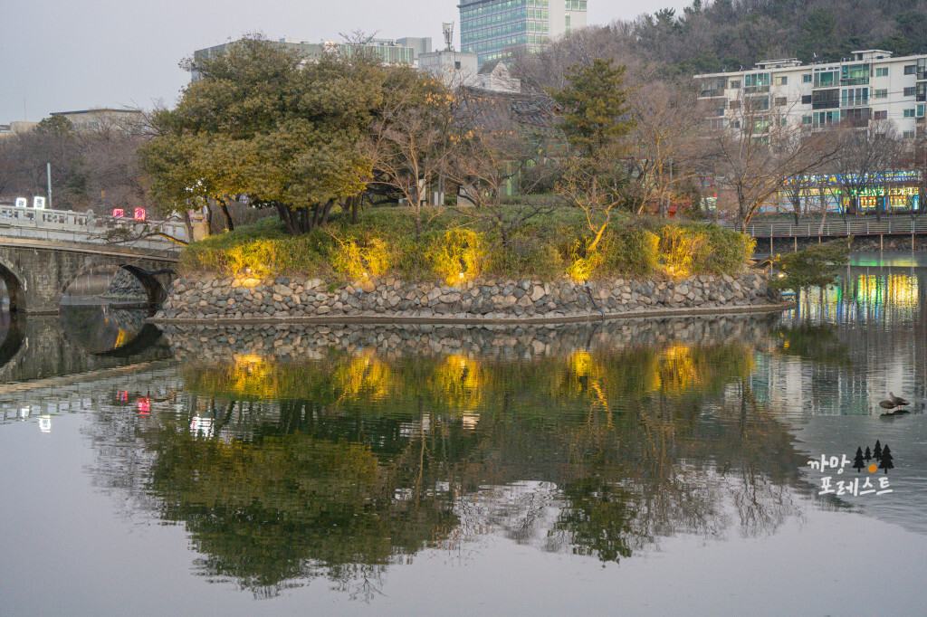 대구 성당못 부용정 야경