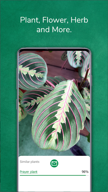 식물이름 찾기 어플, 식물식별 하기, 꽃이름 찾기