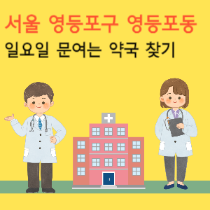 서울 영등포구 영등포동 일요일 문여는 약국
