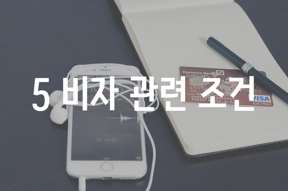 5 비자 관련 조건