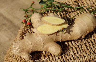 무릎-관절에-좋은-음식-건강