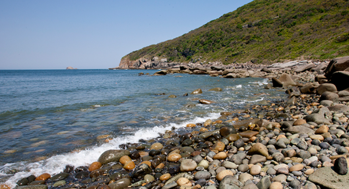 외연도 배시간표, 배편 예약 총정리!!
