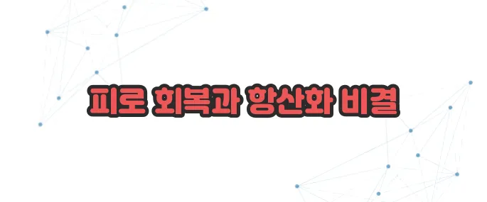 마늘주사 효능 이보다 자세히 설명할순없다