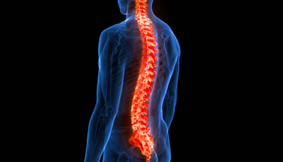 척추 질환